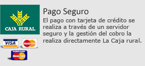 Pago seguro